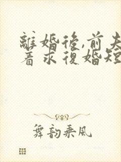 离婚后,前夫哭着求复婚短剧