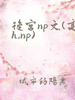 后宫np文(高h,np)