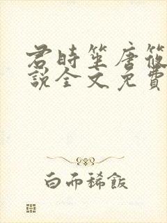 君时笙唐筱可小说全文免费阅读