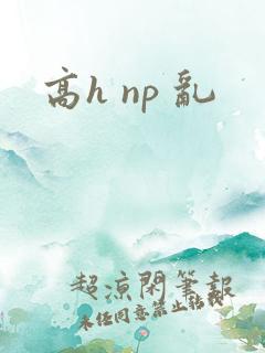 高h np 乱