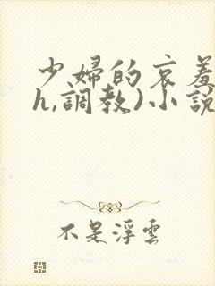 少妇的哀羞(高h,调教)小说