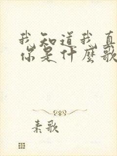 我知道我真的爱你是什么歌