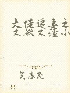 大佬追妻之夫人又欲又渣小说完整版