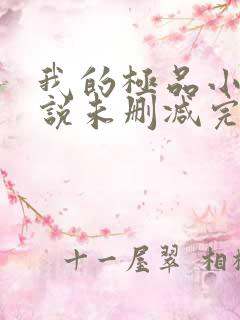 我的极品小姨小说未删减完整版