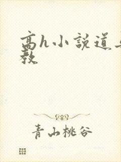 高h小说道具调教