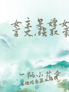 女主是婢女的古言文,强取豪夺