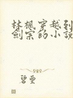 林枫穿越到神霄剑宗的小说叫什么