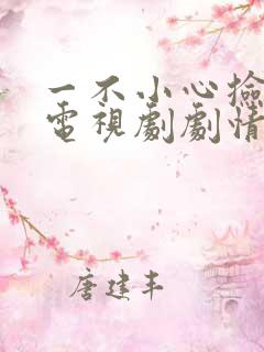 一不小心捡到爱电视剧剧情介绍