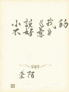 小说《我的医妃不好惹》