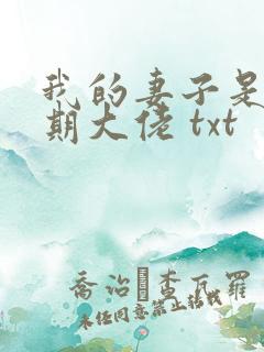 我的妻子是大乘期大佬 txt