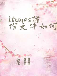 itunes备份文件如何导入另一个手机