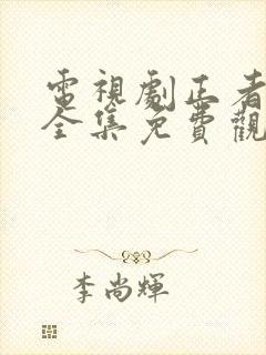 电视剧正者无敌全集免费观看