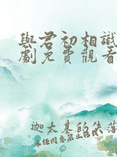 与君初相识电视剧免费观看完整