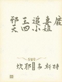 邪王追妻废材逆天四小姐