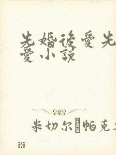 先婚后爱先婚后爱小说