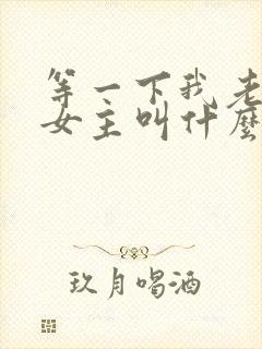 等一下我老公呢女主叫什么
