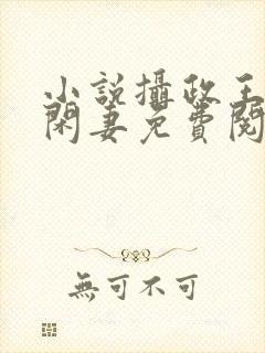 小说摄政王的小闲妻免费阅读