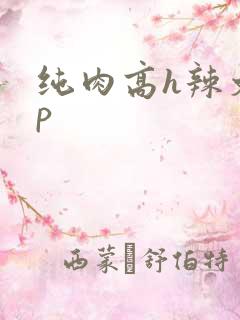 纯肉高h辣文np