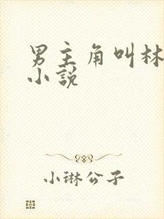 男主角叫林墨的小说