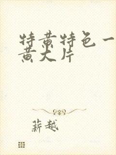 特黄特色一级特黄大片