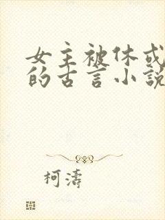 女主被休或和离的古言小说