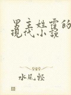 男主姓霍的总裁现代小说