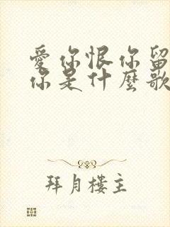 爱你恨你留不住你是什么歌