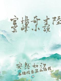 官场奇才陆羽刘云峰小说