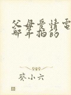 父母爱情电视剧哪年拍的