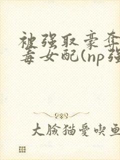 被强取豪夺的恶毒女配(np强制)