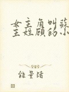 女主角叫苏禾男主姓顾的小说