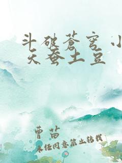 斗破苍穹 小说 天蚕土豆