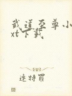 武道至尊小说txt下载