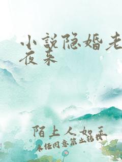 小说隐婚老公深夜来