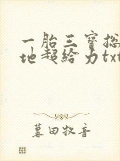 一胎三宝总裁爹地超给力txt