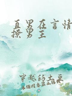 直男在言情文里撩男主