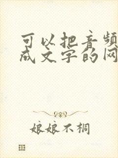 可以把音频转化成文字的网站