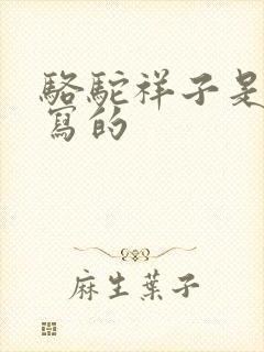 骆驼祥子是哪个写的