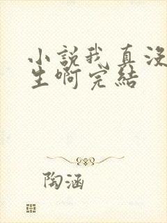 小说我真没想重生啊完结