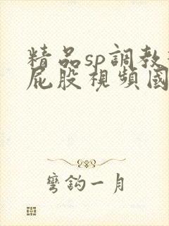 精品sp调教打屁股视频国产