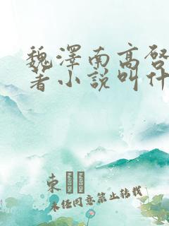 魏泽南高启岚原著小说叫什么名字