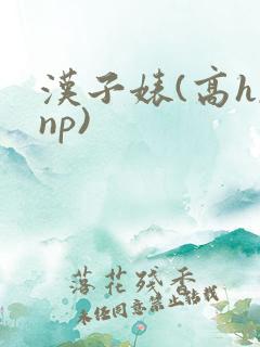 汉子婊(高h,np)