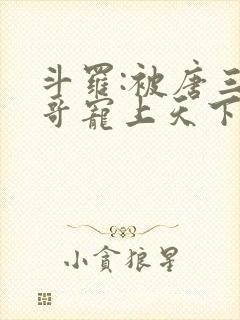 斗罗:被唐三哥哥宠上天下载最新章节