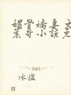 媚骨娇妻 文慧叶哥小说免费阅读