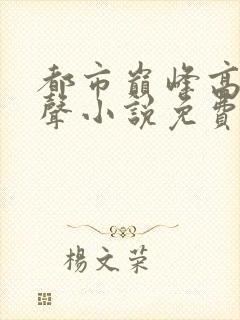 都市巅峰高手有声小说免费收听