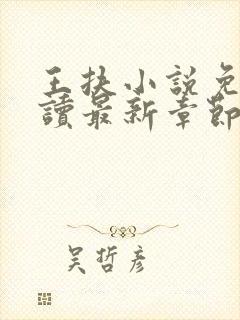 王扶小说免费阅读最新章节无弹窗