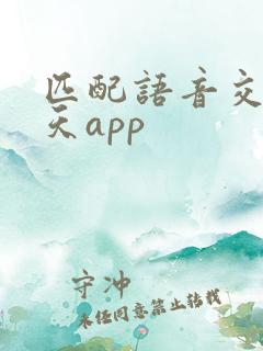 匹配语音交友聊天app