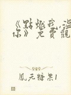 《点燃我,温暖你》免费观看全集