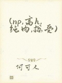 (np,高h,纯肉,总受)