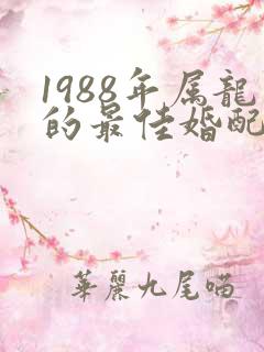 1988年属龙的最佳婚配女